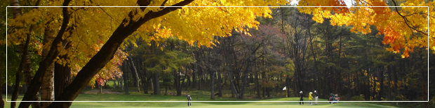 南部富士四季ギャラリー